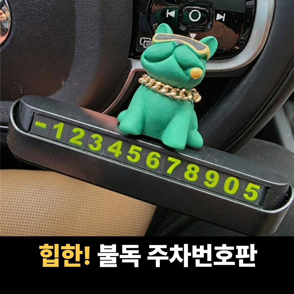박스루트 귀여운 불독 자동차 주차번호판 번호숨김 기능, 1개, 그린 11,500원