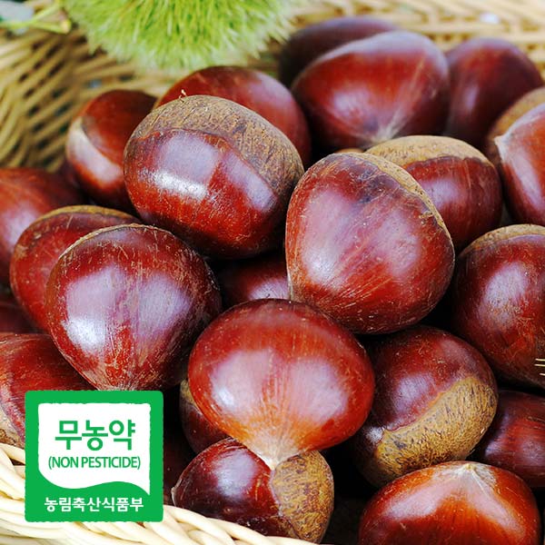 25년 햇 무농약 공주 정안밤 알밤 대품, 2kg, 1개 22,900원