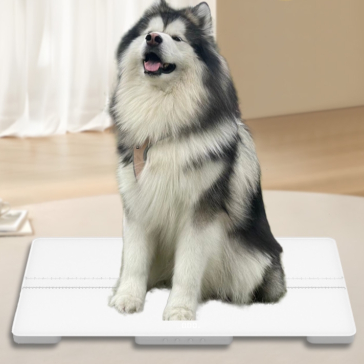 대형견 체중계 강아지 반려동물 대형 전자저울, 화이트 300kg측정 980x500x70mm 240,000원