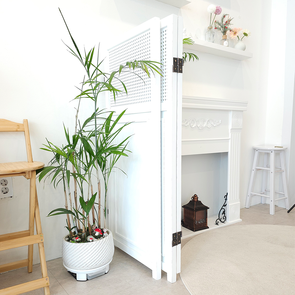 디모토 하니 가림막 접이식 인테리어 파티션 일자로 펴지는 공간분리 원목 가리게 사무실 칸막이, 3단 화이트 98,100원