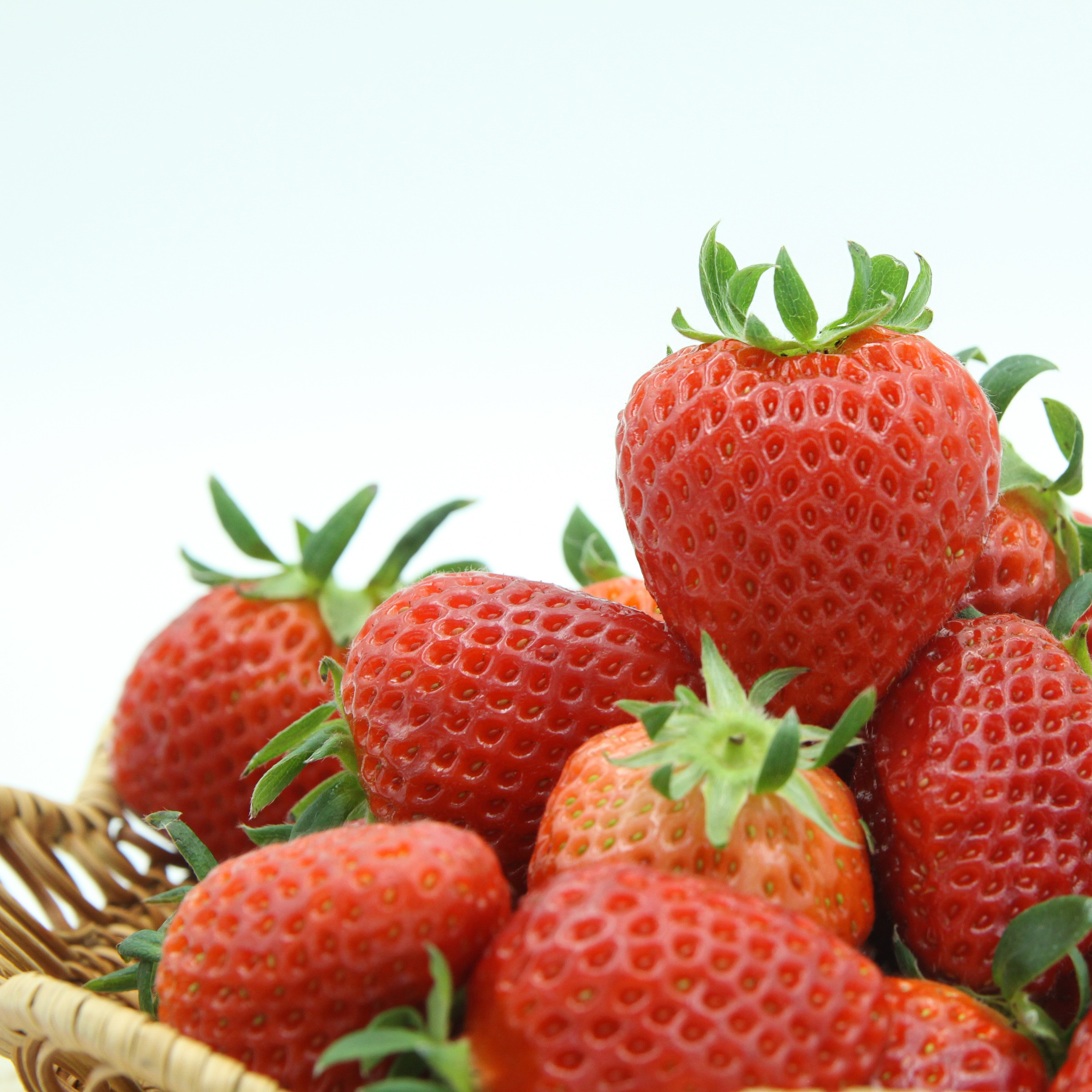 [주영마켓] 달달새콤 맛있는 딸기! 산지직송 논산 설향딸기, 1박스, 딸기 ( 설향 10구 + 킹스베리 10구 ) 750g 30,800원