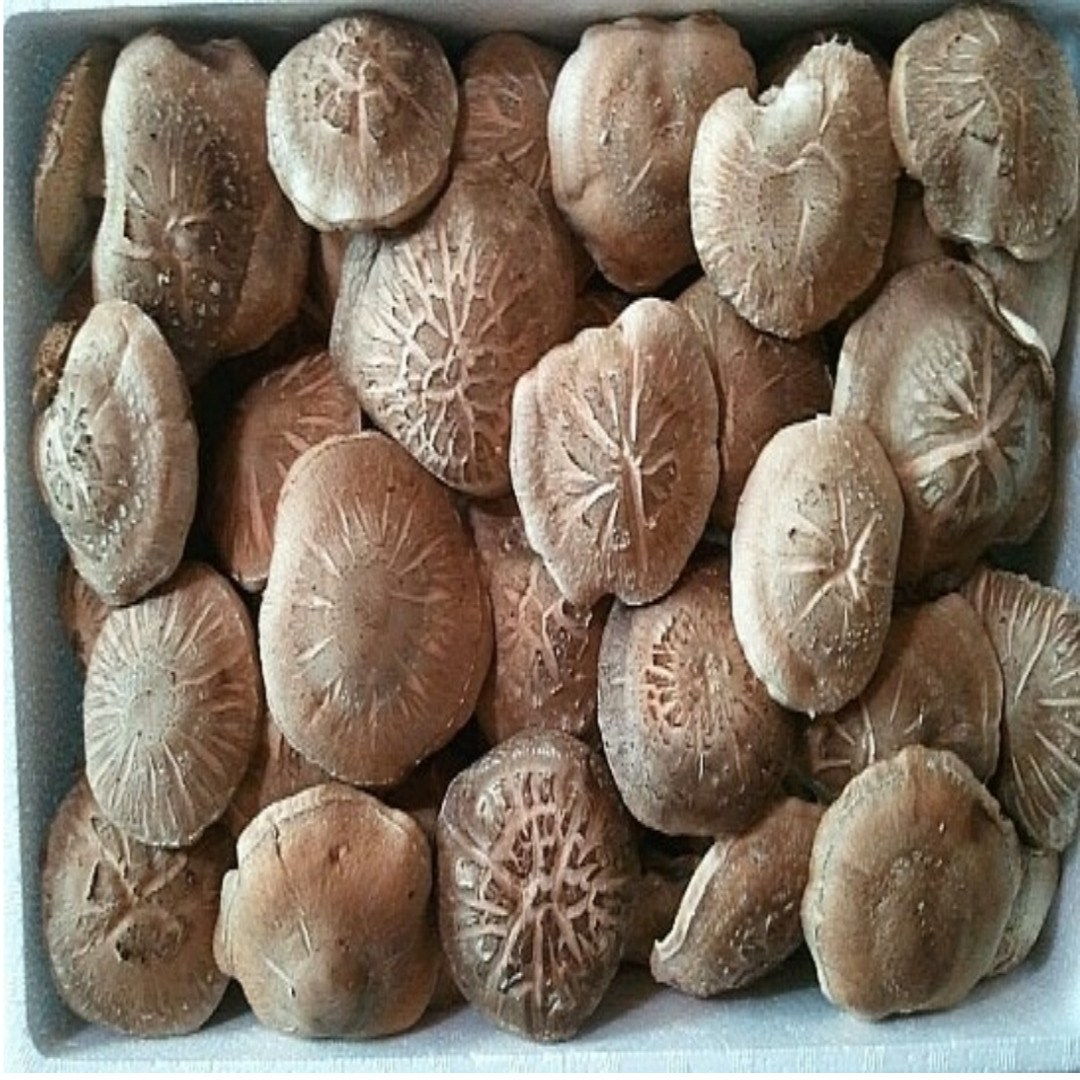 표고버섯 파지 못난이 표고버섯 12,900원