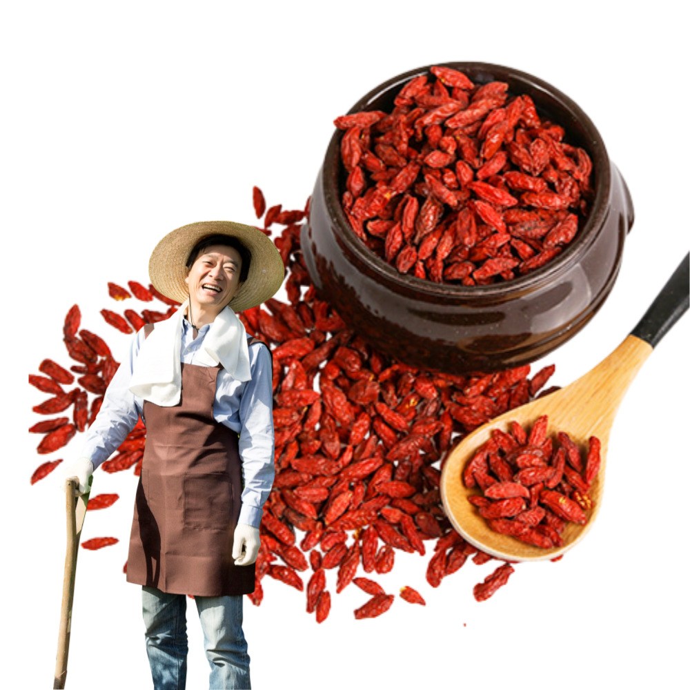 국산 구기자 500g 구기자차 국내산 건구기자 구기차 청양 특품 말린 효능 열매 이유식 발효 말린 건조 구기자 구기자열매 51,900원