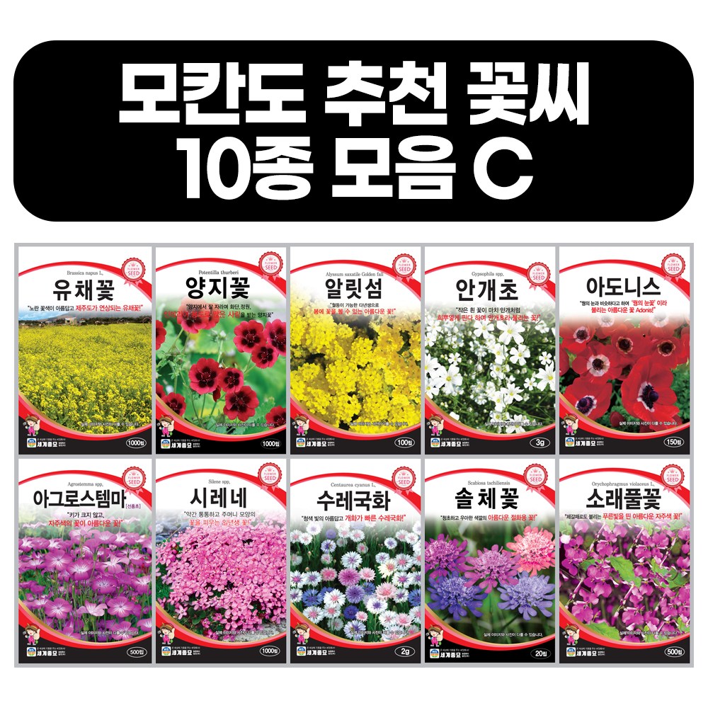 모듬 꽃씨앗 10종 C세트 봄 가을 사계절 파종 소래풀꽃,솔체꽃,수레국화,시레네,아그로스템마,아도니스,안개초,알릿섬,양지꽃,유채꽃 꽃씨 모음 20,000원