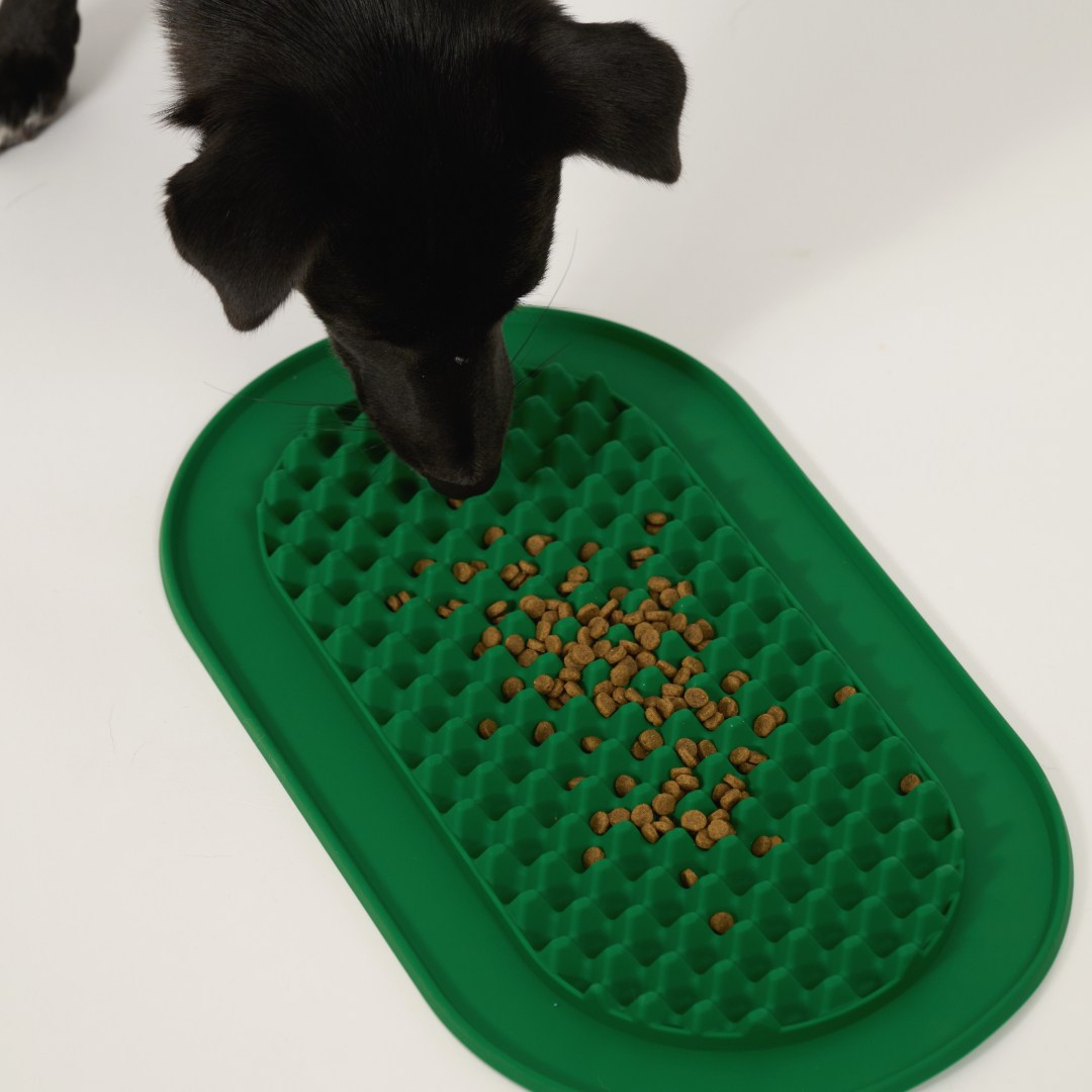 핸독 급체방지 슬로우식기, 1개, 그린 22,400원