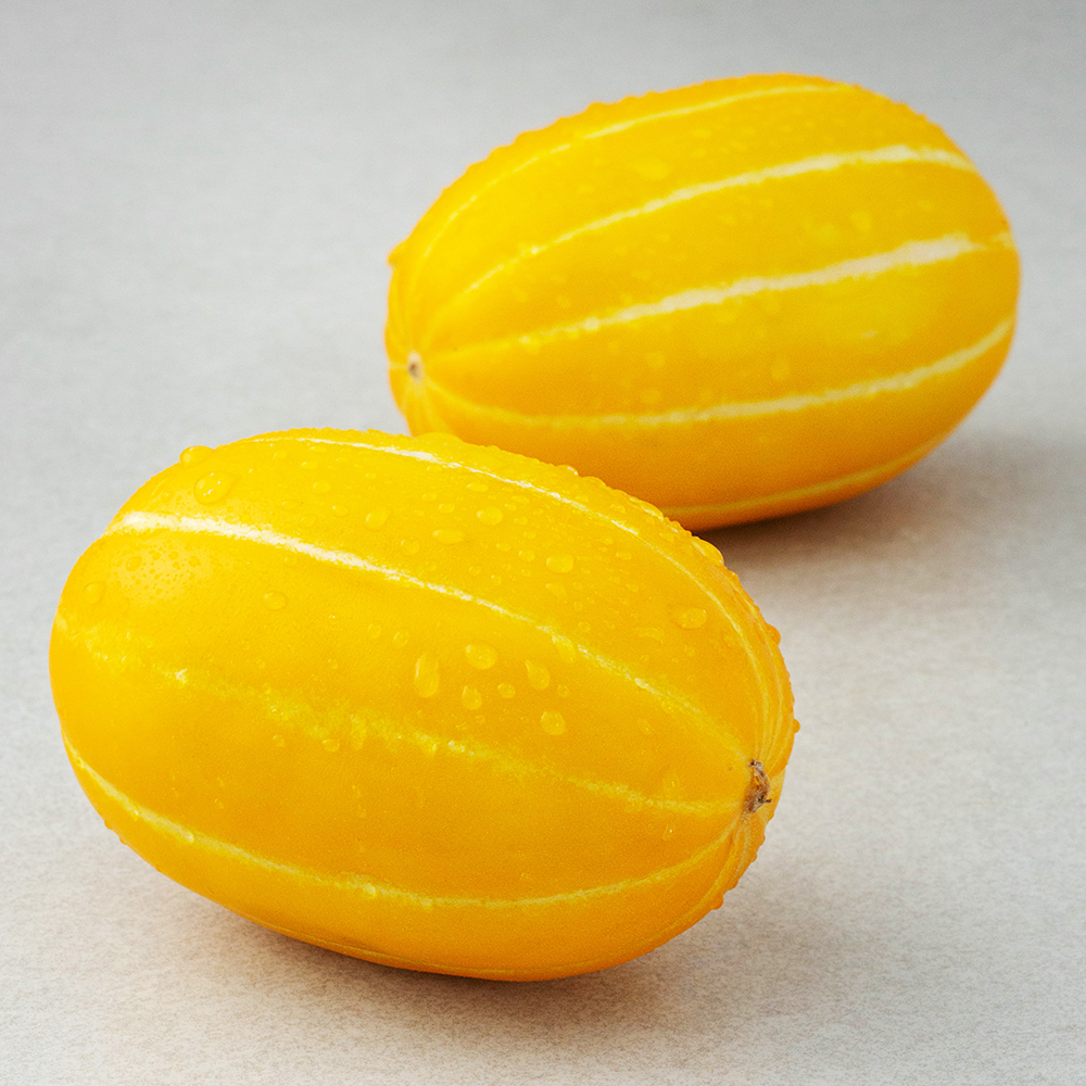 [로켓프레시] 새벽경매 아삭달콤 참외 5,480원