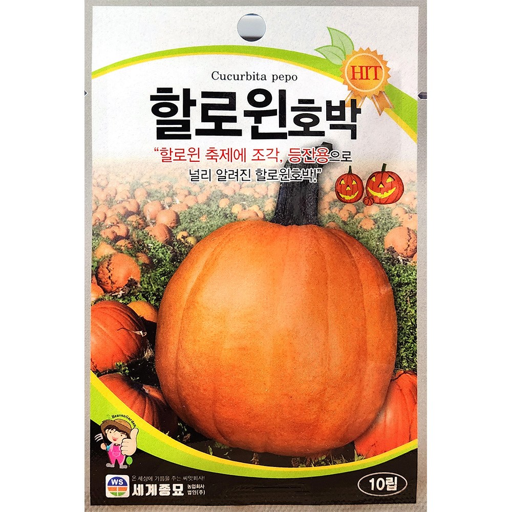 할로윈호박 10립 세계 26년 호박씨앗, 1개 8,000원