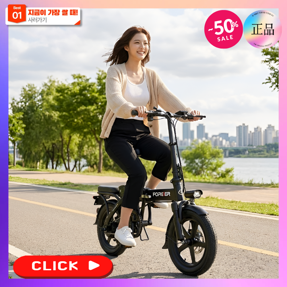 리트바 국산 리튬배터리 접이식 전기자전거 고출력 모터 전동 PAS 배달 대리운전 출퇴근, 디럭스, 경량스틸 489,000원