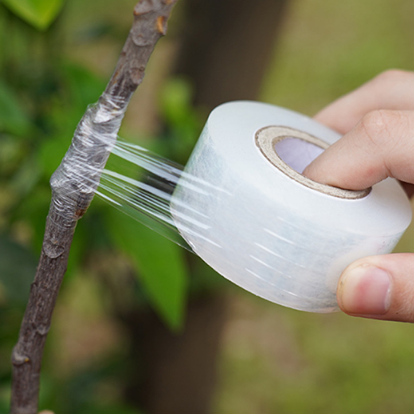 다스몰 접목테이프 과수 식물테이프 3cmx200m, 5개 7,900원