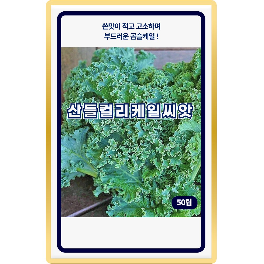 산들 컬리케일 씨앗 50립 부드러운 곱슬 케일씨 종자, 5개 8,500원