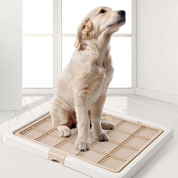 어니스트 애견 초대형배변판 원터치방식 특대형배변판 28,400원