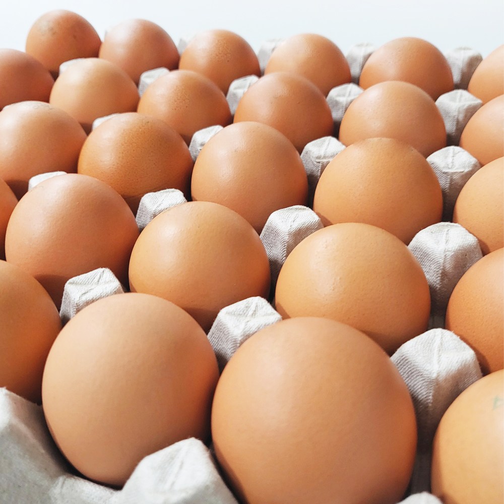 깨끗한농장 특란 식용란 1800g이상 알이큰계란 달걀 9,200원