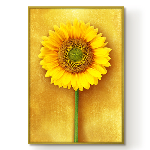 재물복 황금빛 해바라기 그림 금전운 성공운 사업운 풍수그림 액자 3종 드라마 방영 돈들어오는 그림액자 98,000원