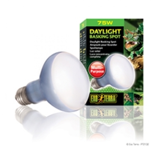 엑소테라 파충류 바스킹 스팟 램프 75w PT-2132 9,000원