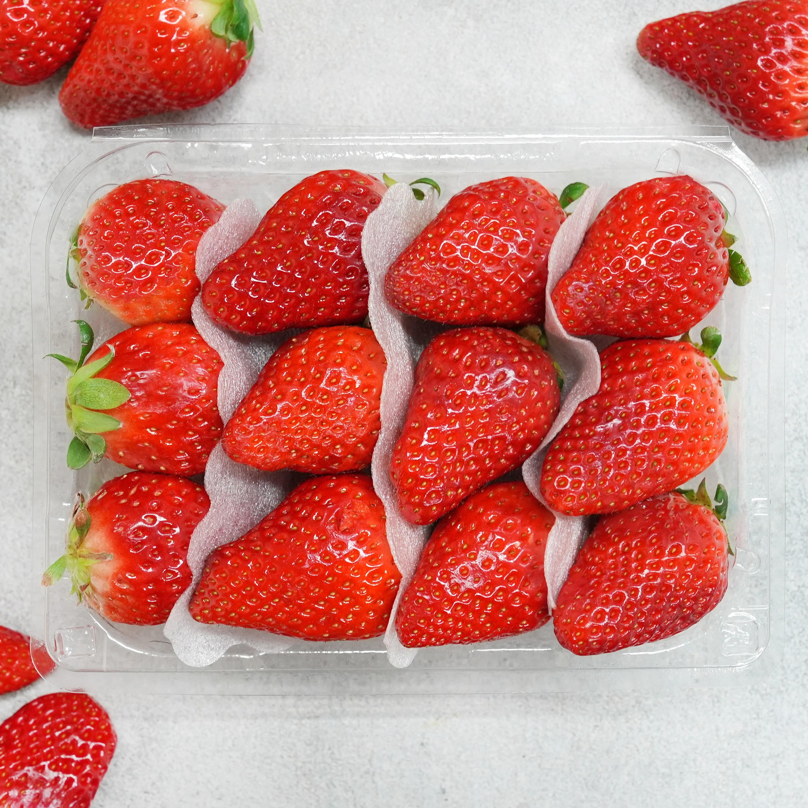 팜앤프룻 고당도 제철 설향 홍희 딸기, 1개, 2kg 특 40,100원