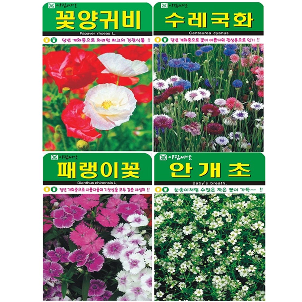 인기 꽃 야생화 씨앗 4종 (꽃양귀비+수레국화+패랭이꽃+안개초), 1세트 9,980원