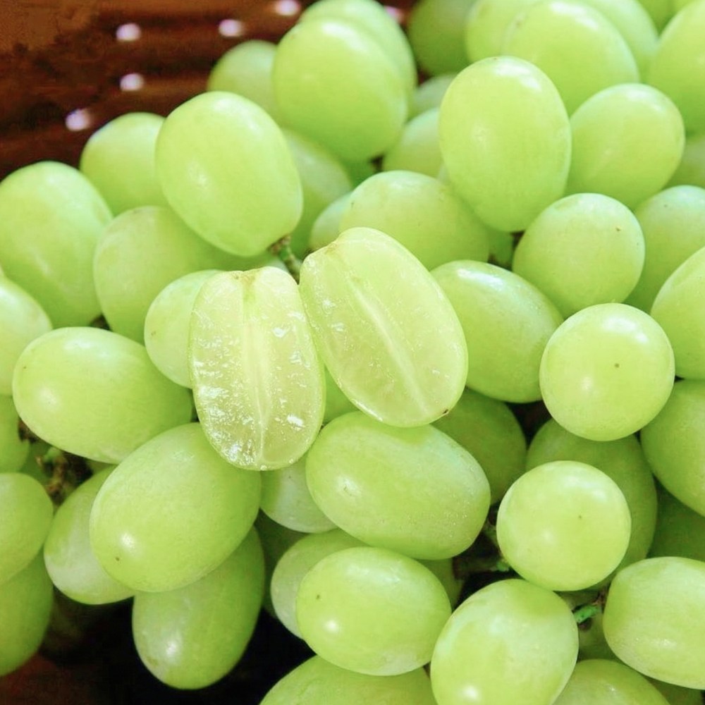 [타임특가]20Brix 씨없는 오톰크리스피 애플청포도, 1개, 500g (특품) 10,600원