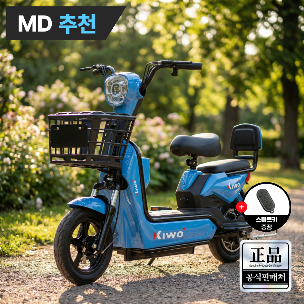 루토 전기자전거 26년 신형 고출력 전동 스쿠터 자토바이 배달 출퇴근, 블루, 경량스틸 332,000원