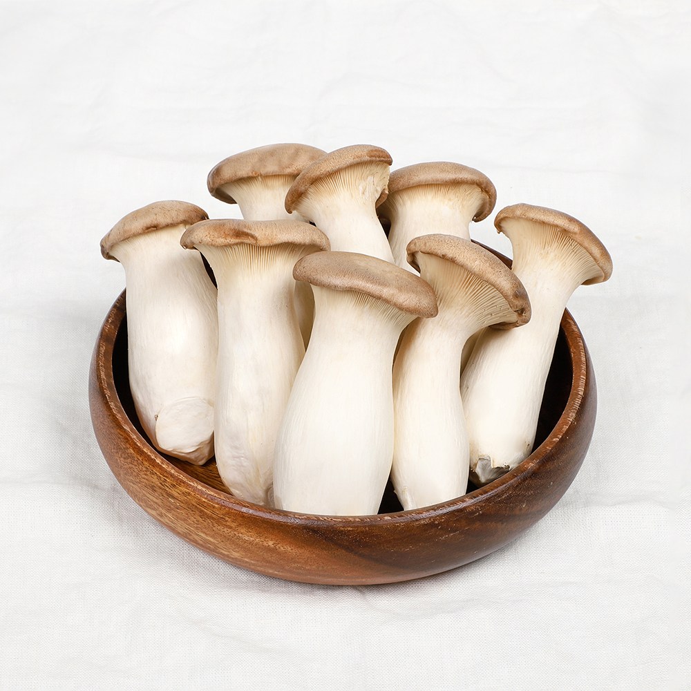 {용이네}산지직송 무농약 새송이버섯 미니새송이 모음전 새송이버섯 표고버섯 팽이버섯 느타리버섯 GAP인증, 1개, 미니 1kg 6,900원