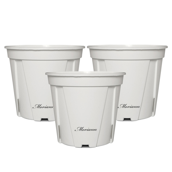 모리앤 슬릿화분 3p, 화이트, 3개 9,810원