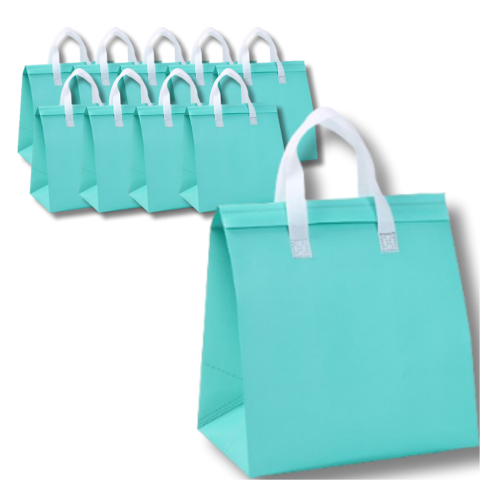 비비드닷 예쁜 일회용 손잡이 은박 보온보냉백, 민트색, 10개 7,660원