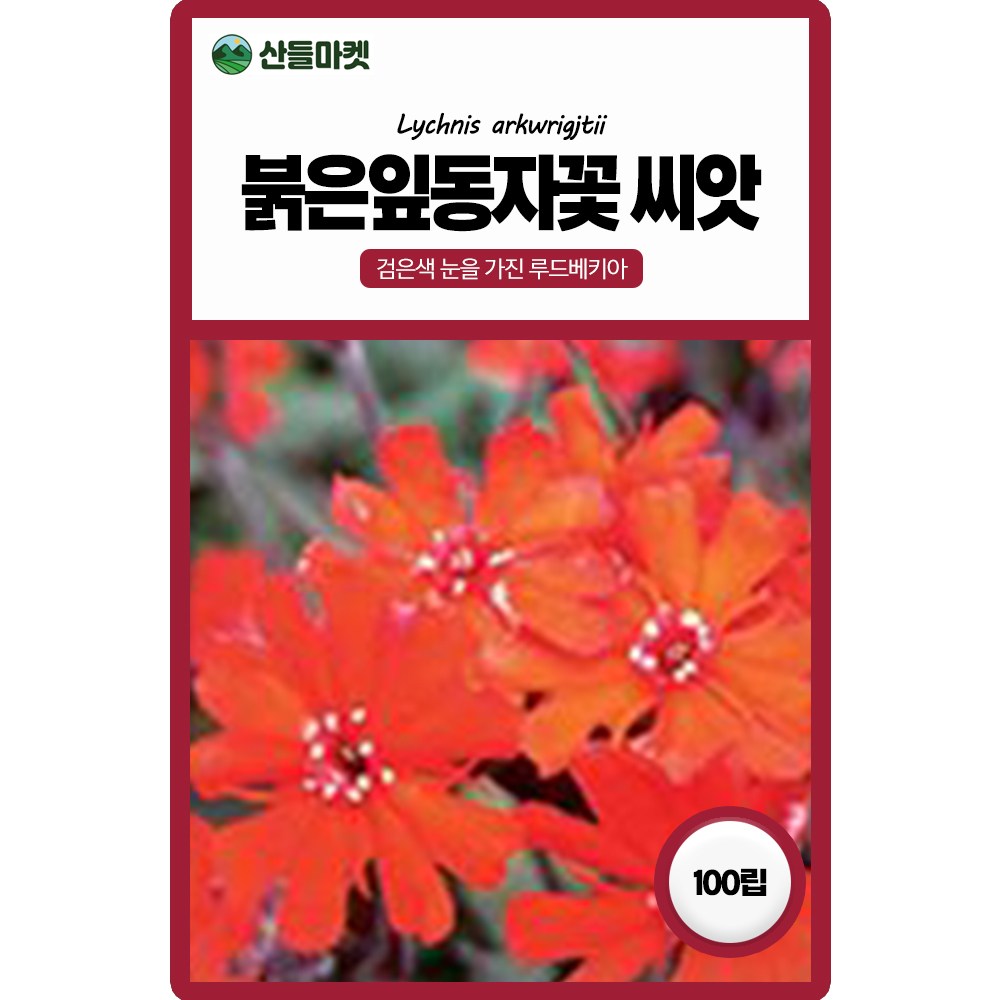 산들마켓 붉은잎 동자꽃씨앗 100립 주황 꽃잎과 적색의 잎이 잘어울리는 다년생 꽃씨 종자 5,600원