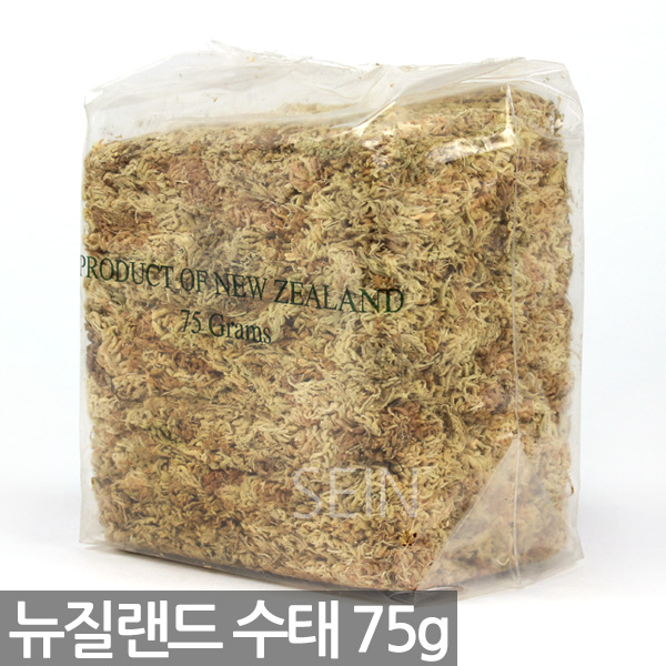 세인화분 뉴질랜드 칠레 수태 75g 150g - 천연수태 석부작 재료 풍란 토피어리 이끼 몬스테라 수태봉 고급 난 분재 화분 목부작 분경 9,480원
