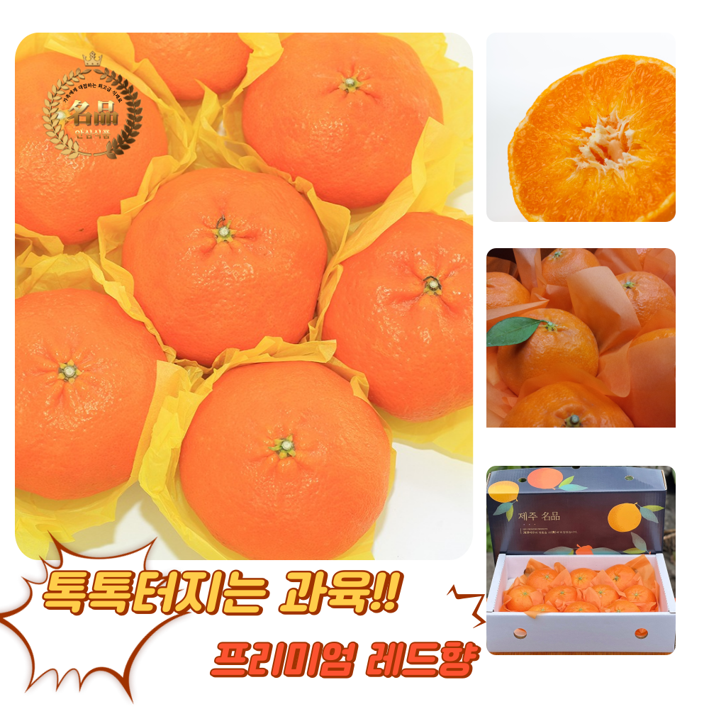 [굿피플] 레드향 레드향선물세트 한라봉 황금향 과일선물세트 [레드향 3kg 중대과 선물세트], 1박스 49,460원