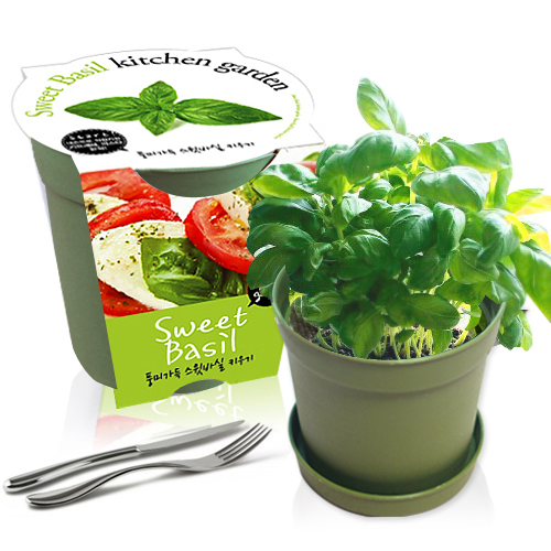 세경팜 컬러키친가든 텃밭 가꾸기 화분 세트 그린 6,830원