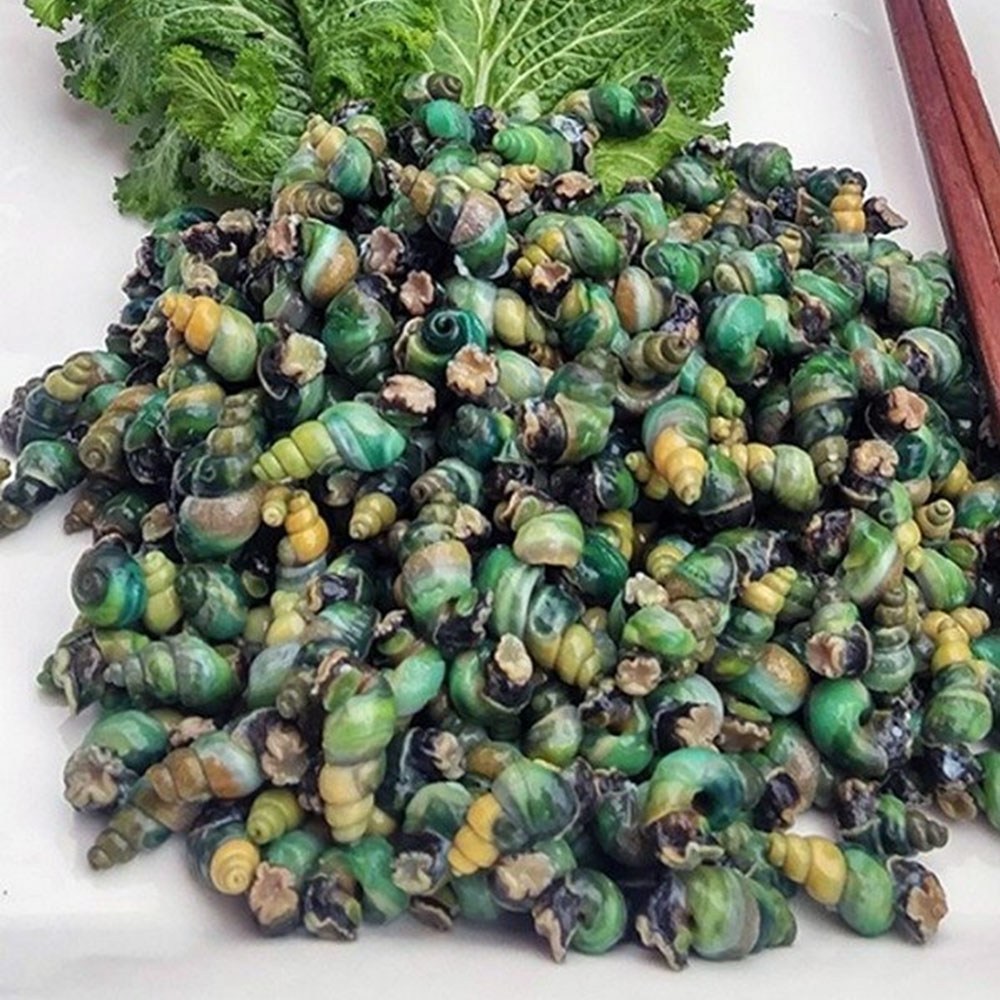 산지청정 1급수 강원도 자연산 깐올갱이 200g/400g 다슬기 깐다슬기 고디, 5개, 200g 35,000원