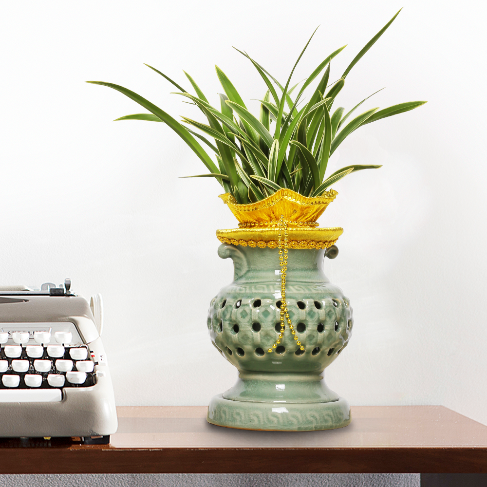 에코플라워 동양란 (미니 투각_40cm내외) 광역시배송 수도권일부배송 사진전송 승진 영전 인사이동 진급 취임 개업 꽃배달 g-0088, 1개 57,600원