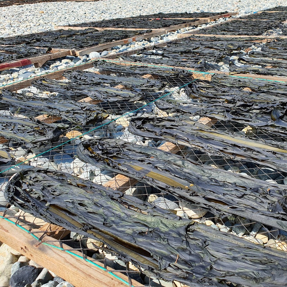 순자네 산모미역 거제도 여차 돌미역 자연산돌미역 2025년 28,200원