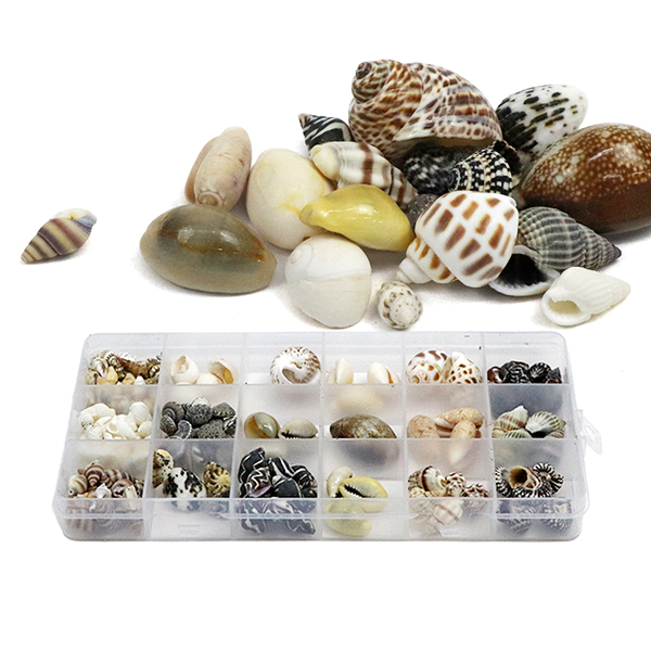 (재미스쿨) DIY 조개껍질 18종 혼합세트 160g (소용량) 조개껍데기 7,700원