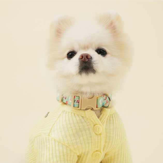 힛찌 강아지 초경량 패턴 소프트 목줄 13,760원