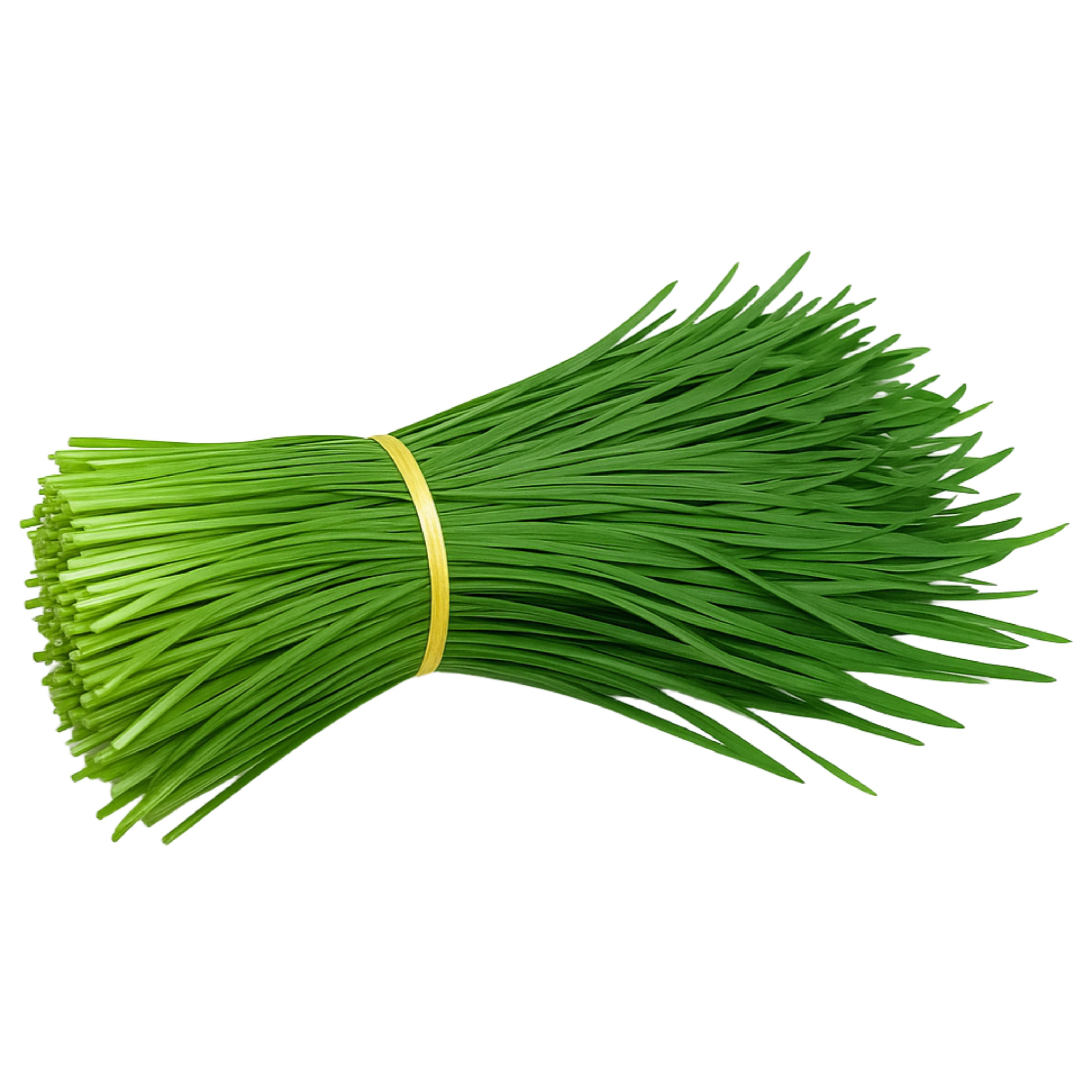 [맛통령] 국내산 싱싱한 부추 8,990원