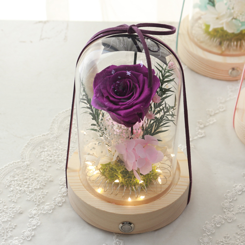 다우에프앤지 프리저브드 플라워 유리돔 무드등 + 쇼핑백 + 용돈봉투 35,900원