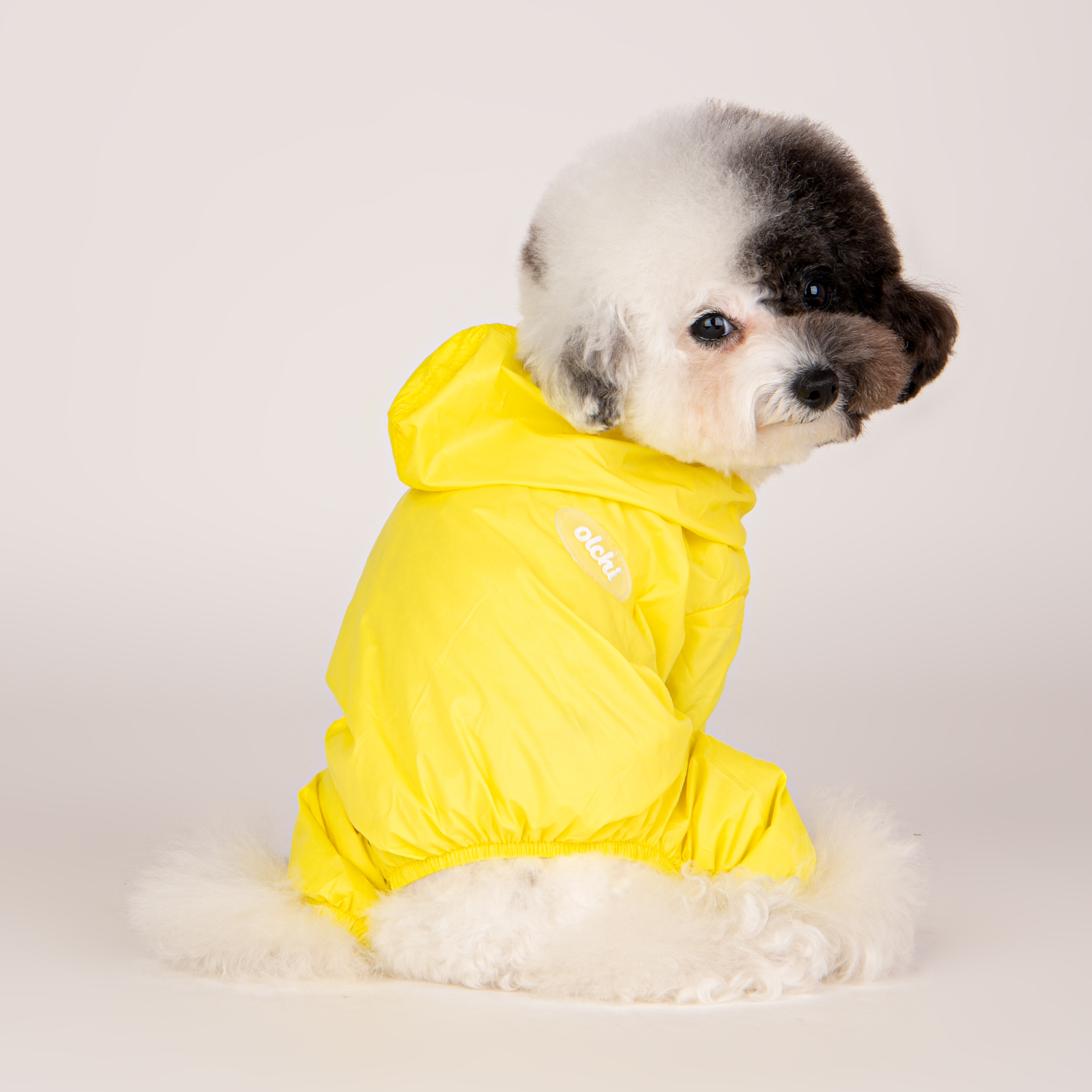 올치 강아지 바람막이 우비 + 파우치 세트 RM6274 20,190원