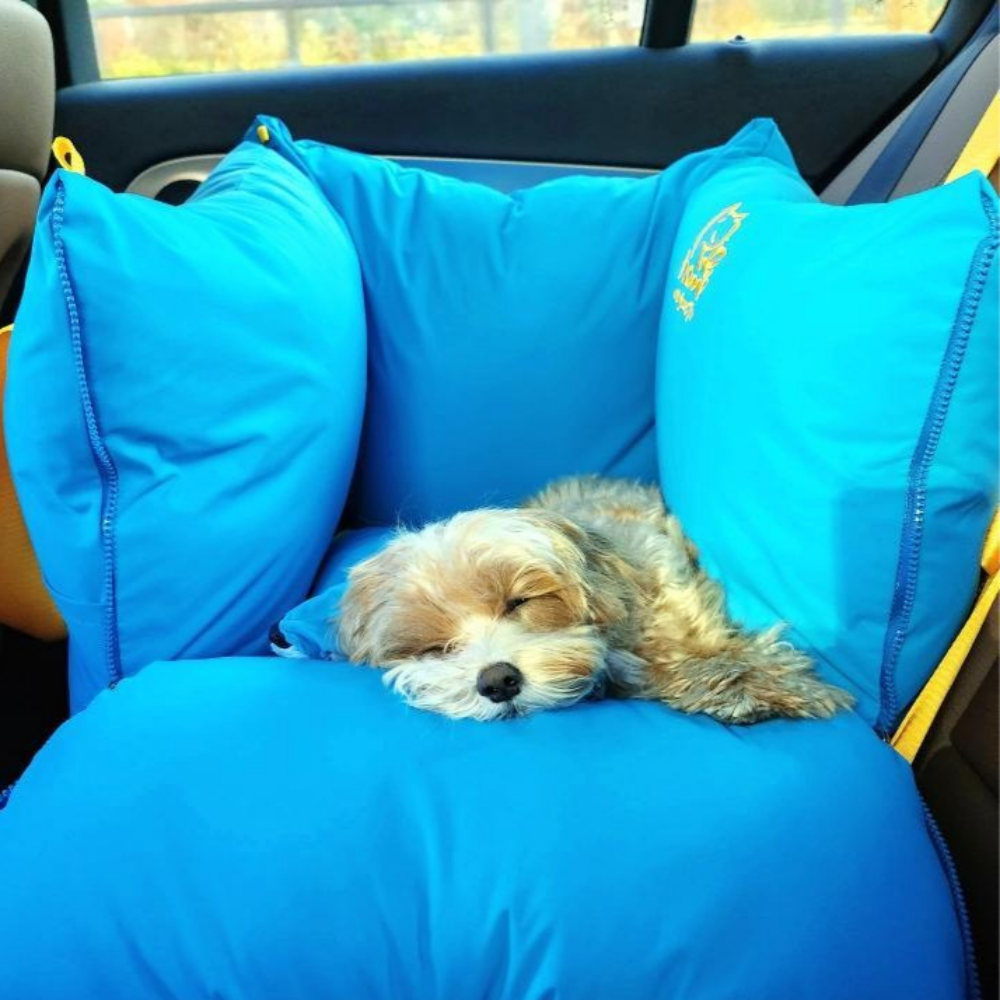 스윗테일 강아지카시트 이동가방 조수석 국내제조 핸드메이드 121,600원