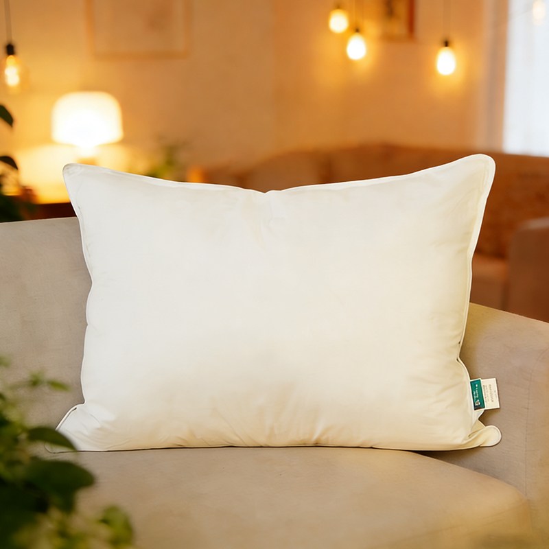 텍스스테드 프리미엄 구스 다운 페더 스로우 호텔베개, 화이트, 1개 17,260원