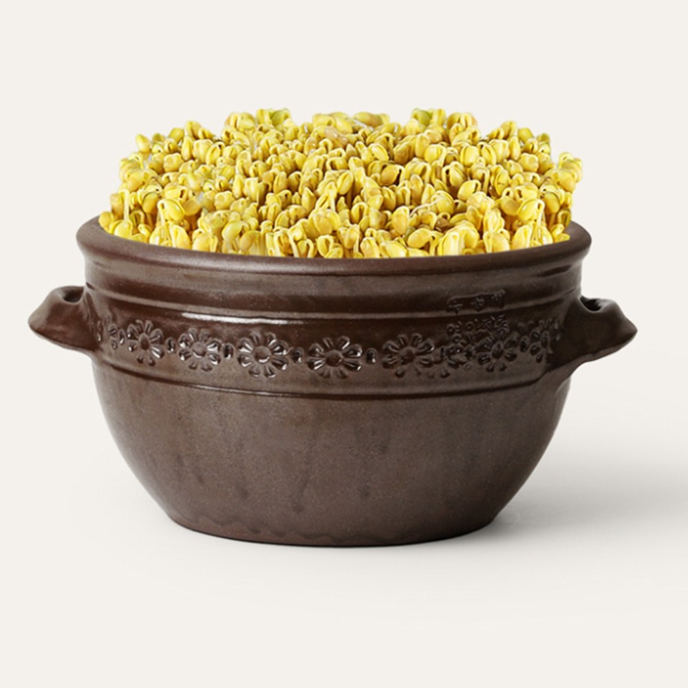 매니픽 가정용 집에서 키우는 콩나물 시루 항아리 소형, 1개 42,500원