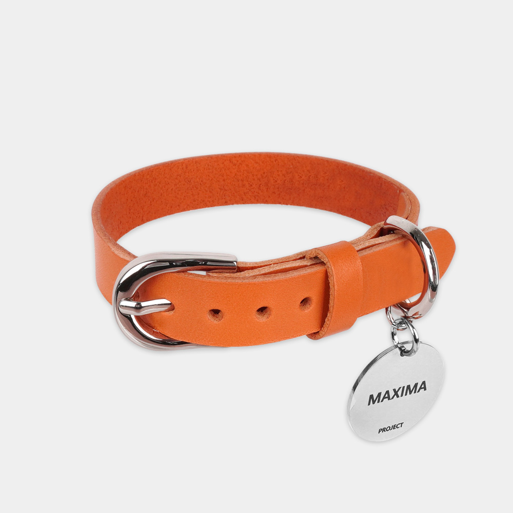 MX PET 베지터블 가죽 목줄 325X ORANGE 강아지 소 중 대형 각인, 오렌지/기본형, 1개 46,900원