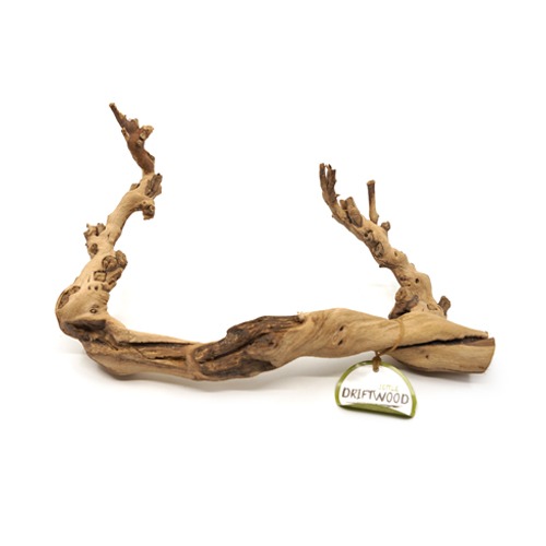 포도나무 유목(중), 1개 11,000원