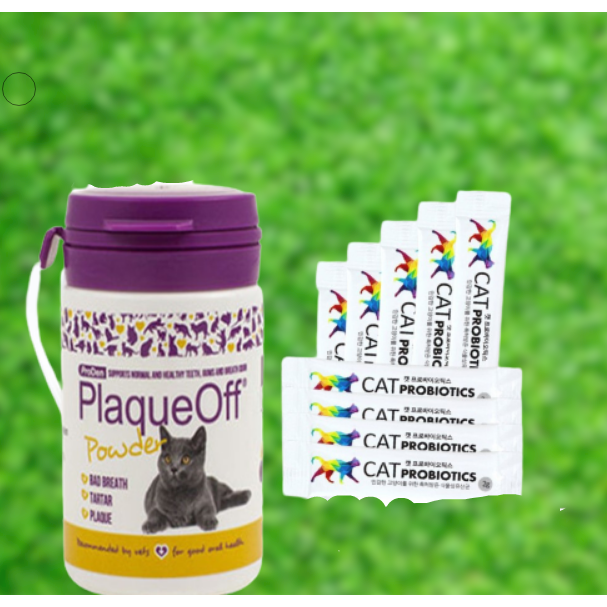 플라그오프 치석제거 파우더 고양이용 40g+고양이 유산균 반랩캣프로바이오틱스 10P 고양이 영양제 35,000원