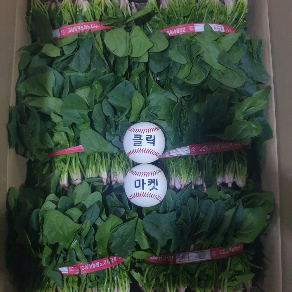 클릭마켓 남해 노지 섬초 겨울 시금치 이내, 1개, 3kg 14,800원