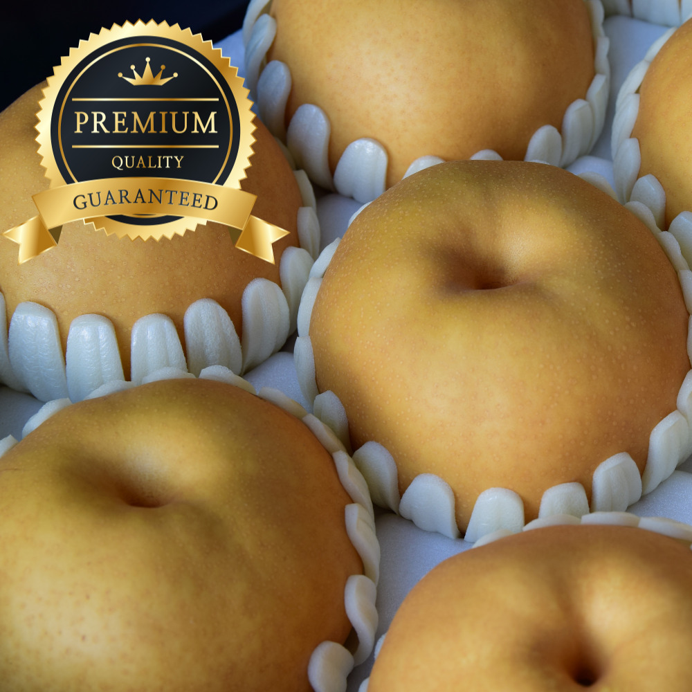 [프리미엄]고당도 왕특대사이즈 나주배선물세트 69,800원