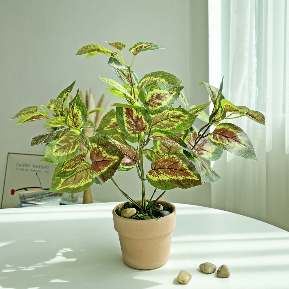 베누디 그리너리 보태니컬 화분 조화 14,900원