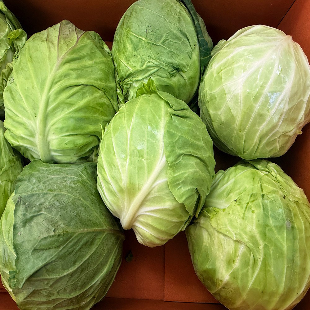 농부곳간 국내산 미니 양배추, 1개, 4kg 18,900원