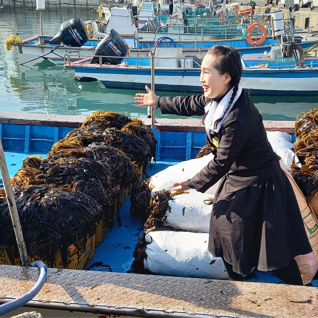 기장다시마짜지않은기장닦은다시마지퍼백다시마선물세트그냥먹어도맛있는닦은다시마 (상표권7종심사중) [기장유통] 39,800원