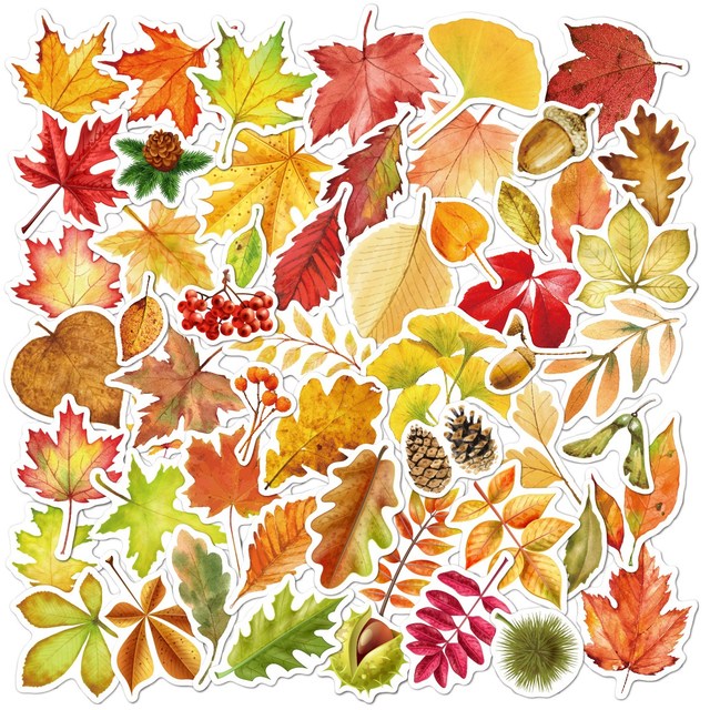 가을 나뭇잎 스티커 세트 낙엽 단풍 꾸미기 포용 도무송 4,500원