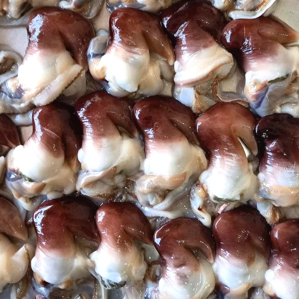 [급냉] 특품 여수 새조개 순살 완전손질 초코새조개 188,900원